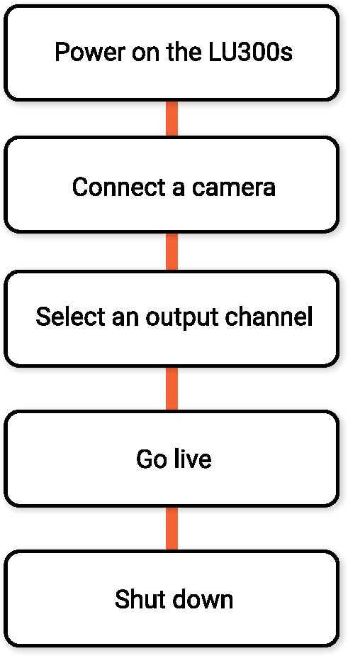 LU300s_Steps.pdf